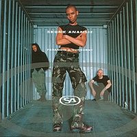 Skunk Anansie: Paranoid & Sunburnt