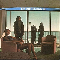 Skunk Anansie: Post Orgasmic Chill